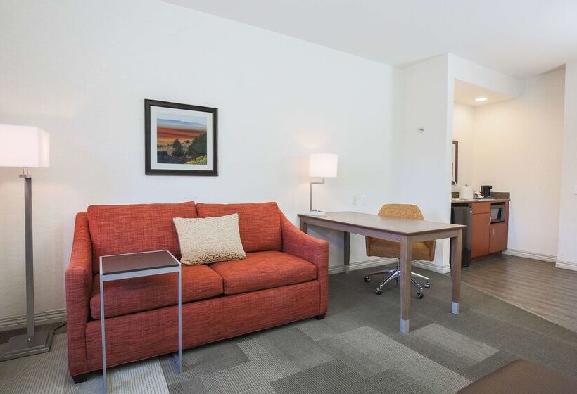 ホテル Hampton Inn And Suites Camarillo