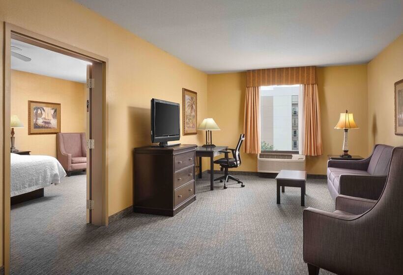 호텔 Hampton Inn & Suites Dallas Dfw Arpt W Sh 183 Hurst