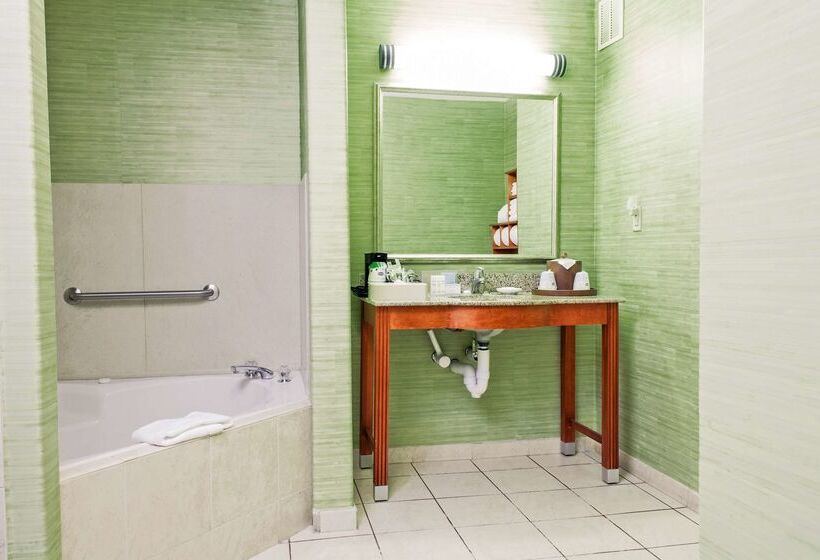 בית מלון כפרי Hampton Inn & Suites Harlingen