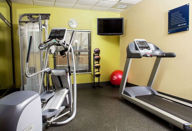 בית מלון כפרי Hampton Inn & Suites Harlingen