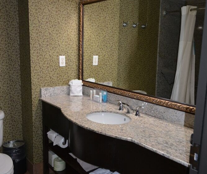 호텔 Hampton Inn & Suites Houston Katy