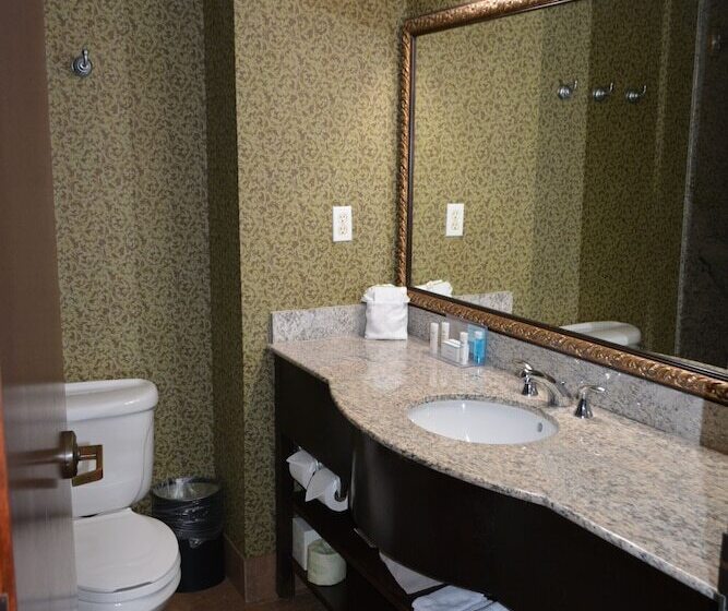 호텔 Hampton Inn & Suites Houston Katy