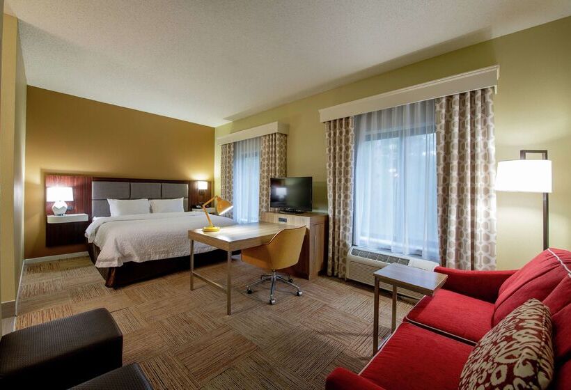 هتل Hampton Inn & Suites Lafayette