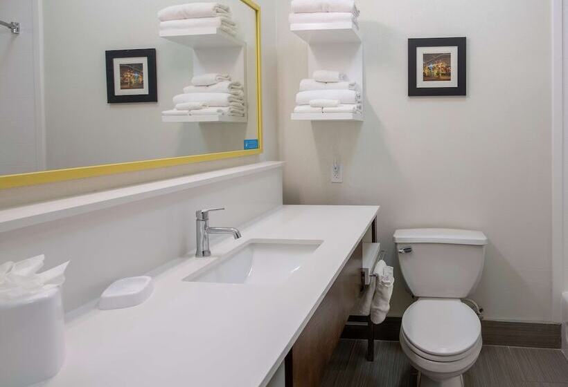 هتل Hampton Inn & Suites Lafayette