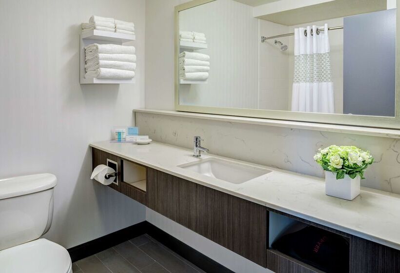 ホテル Hampton Inn & Suites Palm Desert