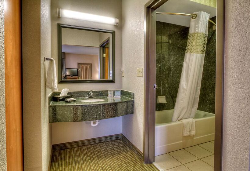 בית מלון כפרי Hampton Inn & Suites By Hilton Petoskey