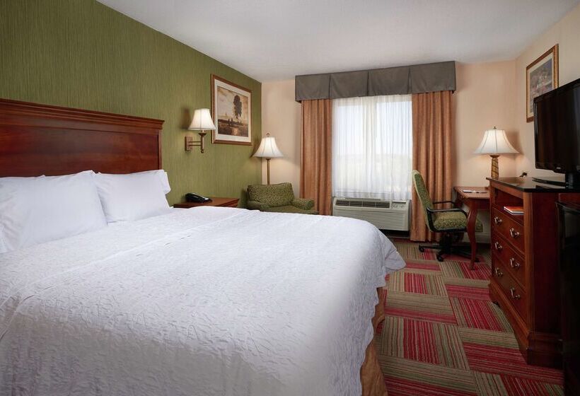 فندق Hampton Inn & Suites Roswell