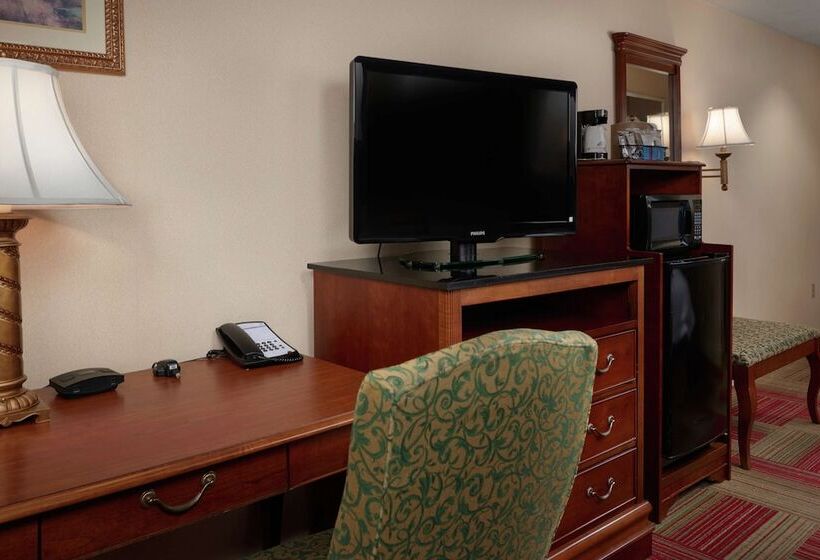 فندق Hampton Inn & Suites Roswell