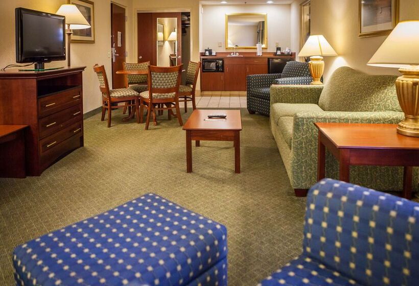 酒店 Hampton Inn & Suites Springfield Southwest