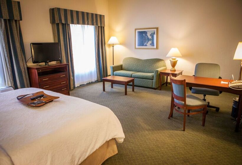 هتل Hampton Inn & Suites Springfield Southwest