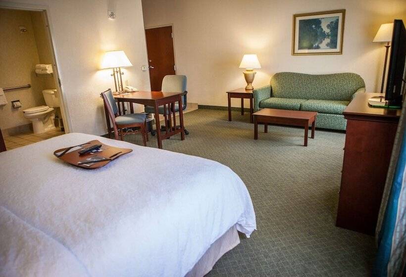 酒店 Hampton Inn & Suites Springfield Southwest