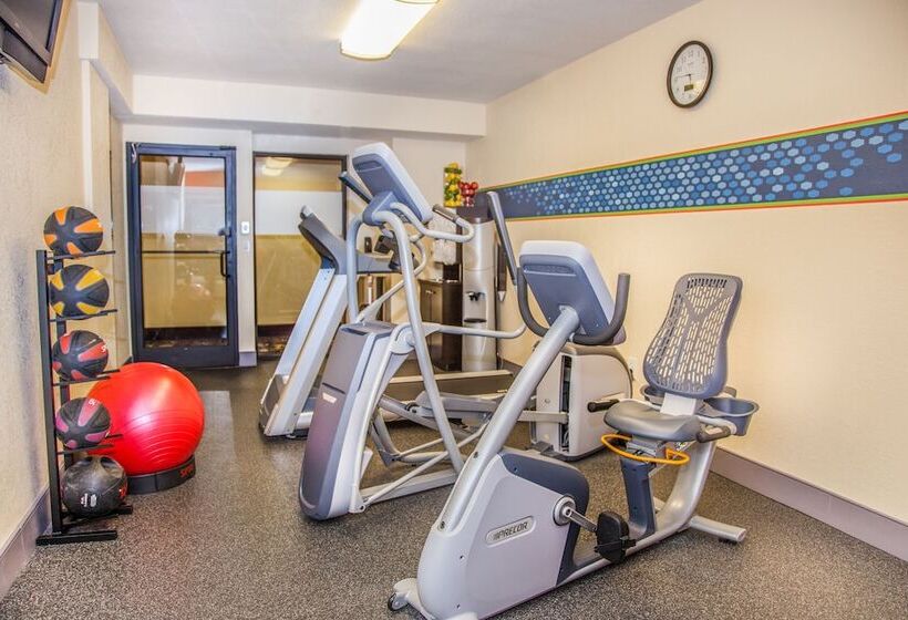 هتل Hampton Inn Baton Rougei10 & College Dr