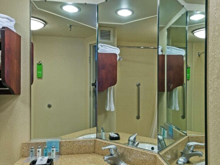 هتل Hampton Inn Baton Rougei10 & College Dr