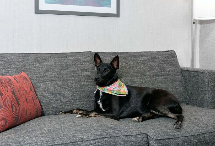 בית מלון כפרי Hampton Inn Boston Bedford Burlington