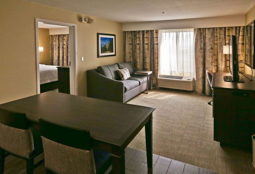 Отель Hampton Inn Billings