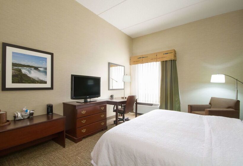 فندق Hampton Inn Buffalo South/i90