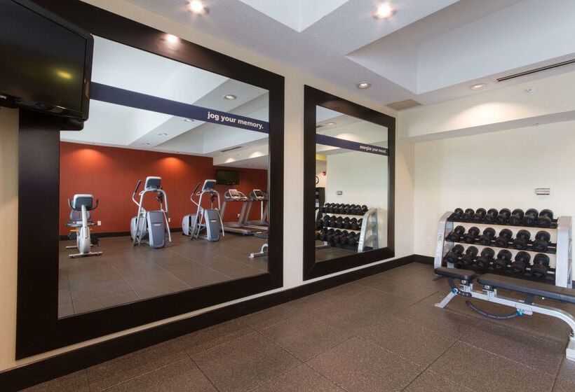 فندق Hampton Inn Buffalo South/i90