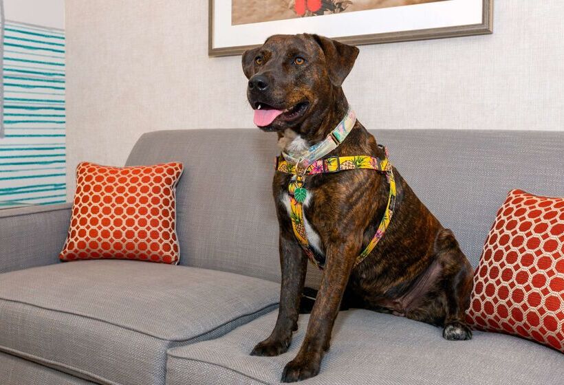 فندق Hampton Inn Buffalowilliamsville