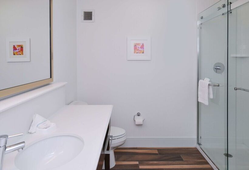 בית מלון כפרי Hampton Inn Carbondale