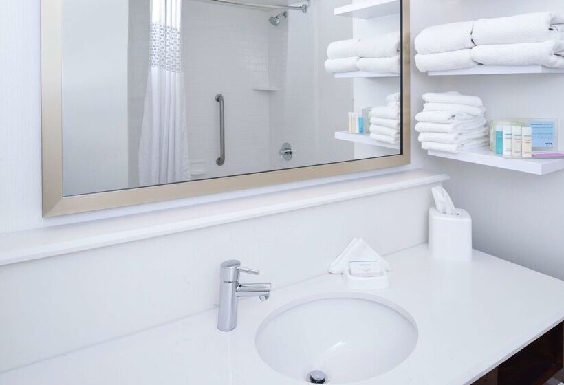 בית מלון כפרי Hampton Inn Carbondale