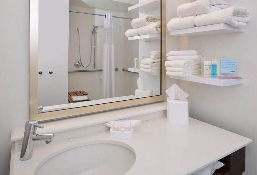 בית מלון כפרי Hampton Inn Carbondale