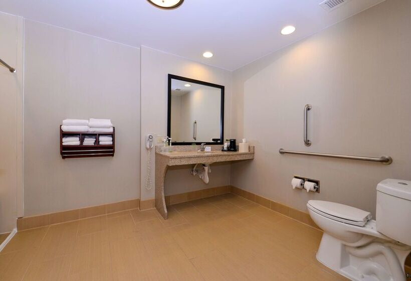 فندق Hampton Inn Chicagocarol Stream