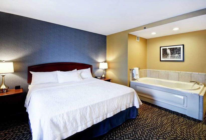 호텔 Hampton Inn Chicopee/springfield