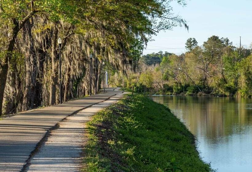 בית מלון כפרי Hampton Inn Columbiadowntown Historic District