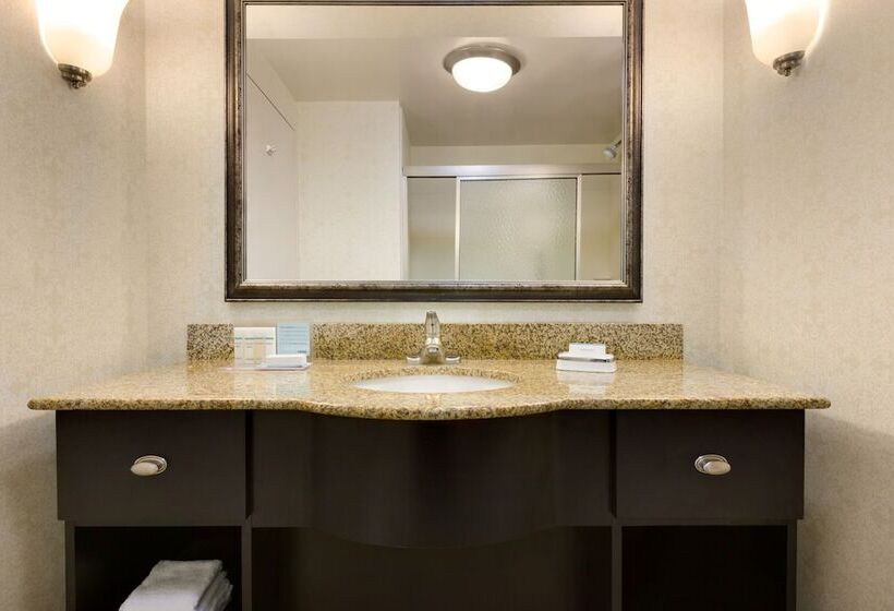 בית מלון כפרי Hampton Inn Columbiadowntown Historic District