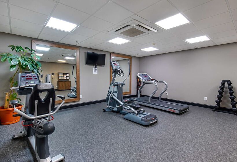 فندق Hampton Inn Corbin Ky