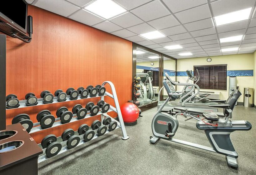 Hampton Inn Hotel Detroit/belleville Airport Area