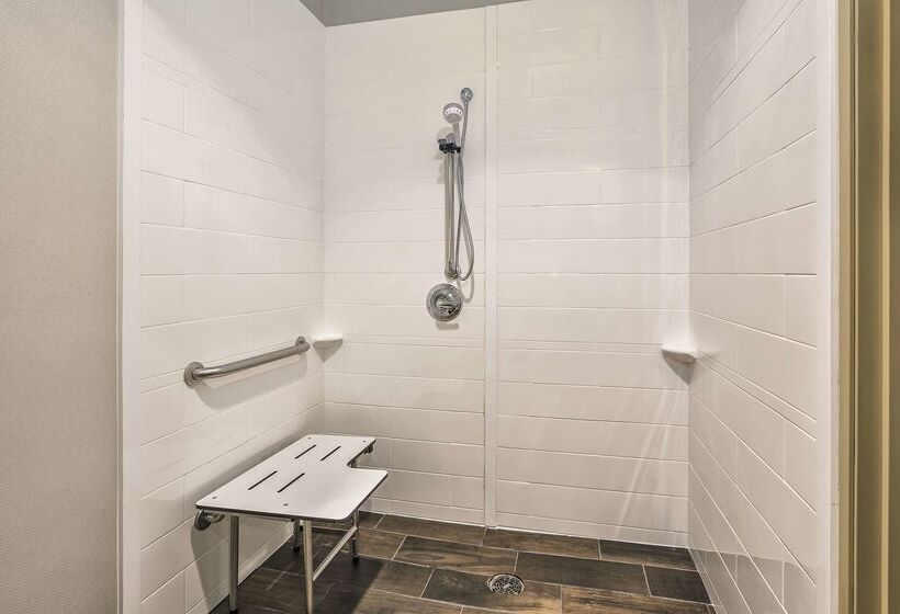 Hampton Inn Hotel Detroit/belleville Airport Area