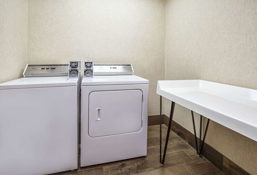 Hampton Inn Hotel Detroit/belleville Airport Area