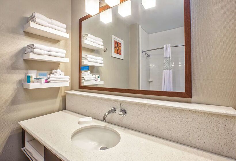 Hampton Inn Hotel Detroit/belleville Airport Area