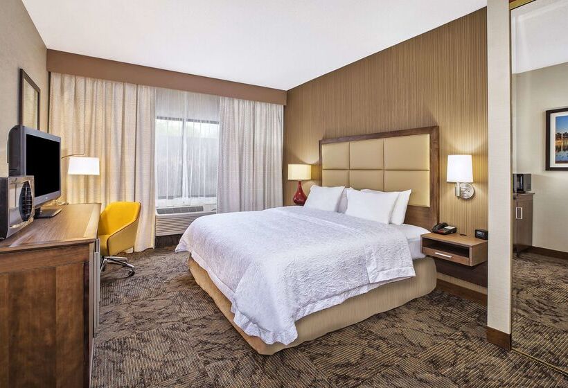Hampton Inn Hotel Detroit/belleville Airport Area