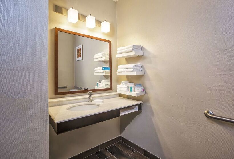 Hampton Inn Hotel Detroit/belleville Airport Area