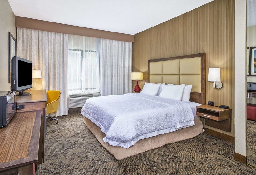 Hampton Inn Hotel Detroit/belleville Airport Area