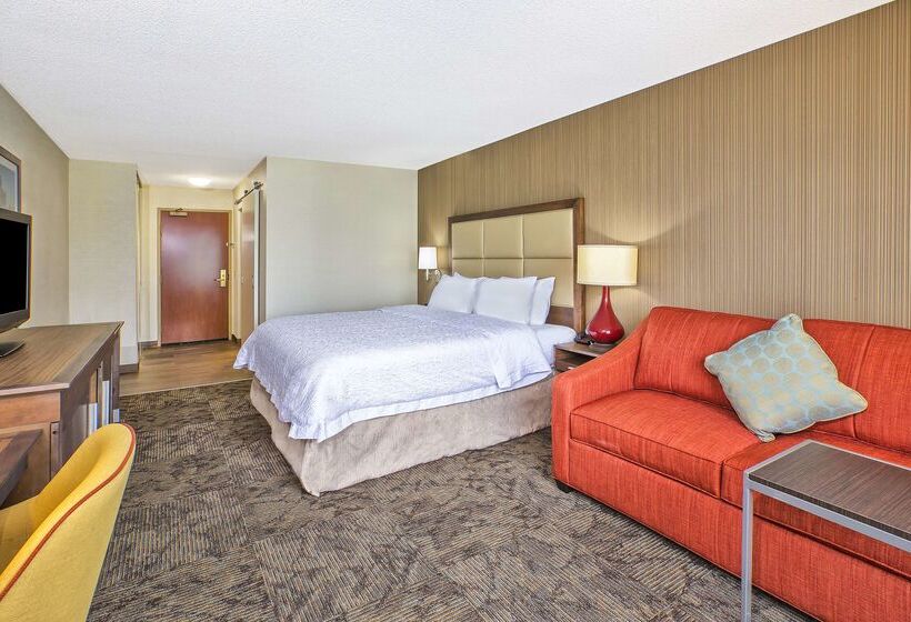 Hampton Inn Hotel Detroit/belleville Airport Area