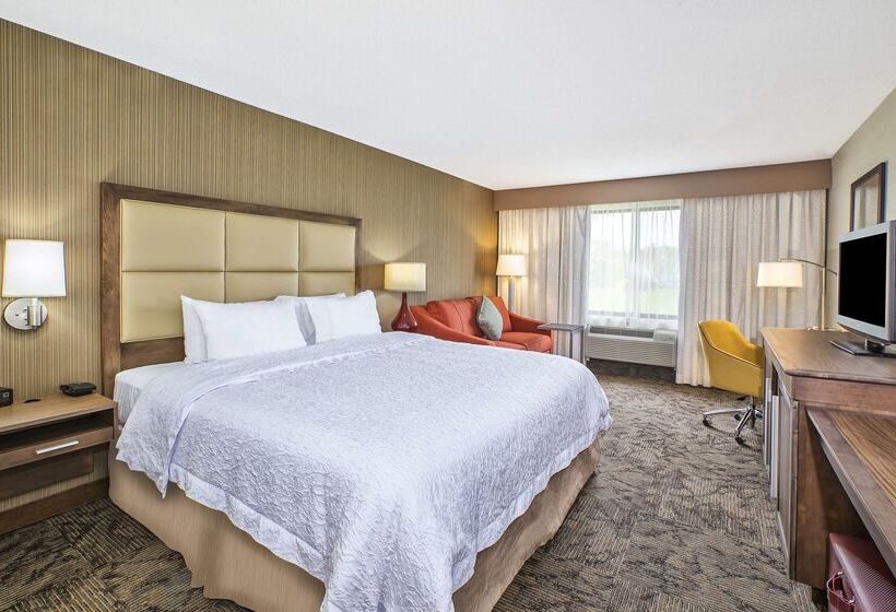 Hampton Inn Hotel Detroit/belleville Airport Area