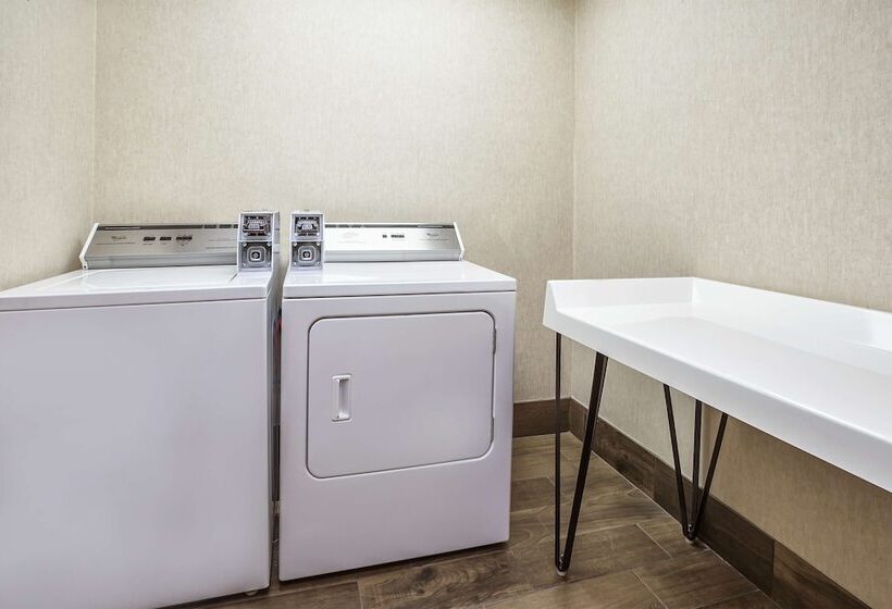 Hampton Inn Hotel Detroit/belleville Airport Area