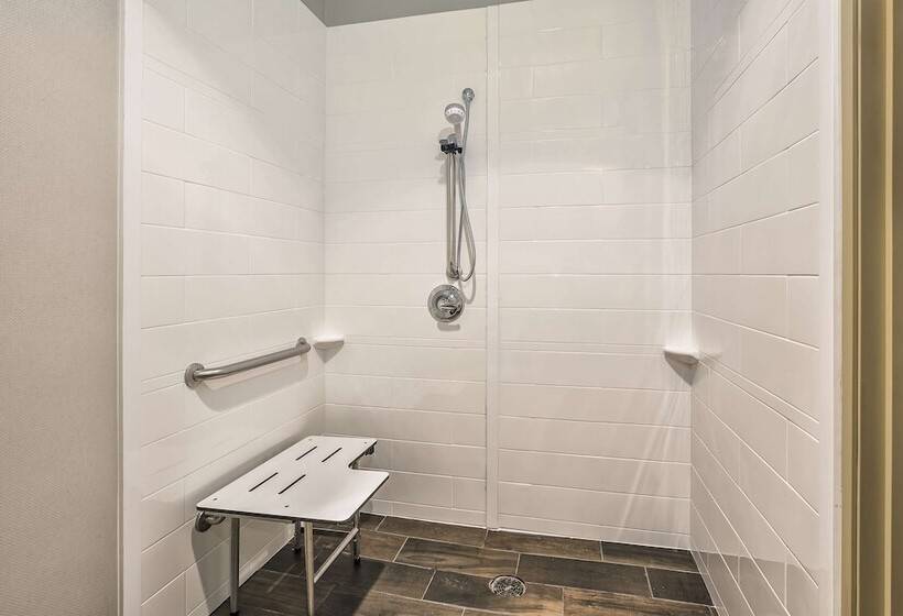 Hampton Inn Hotel Detroit/belleville Airport Area