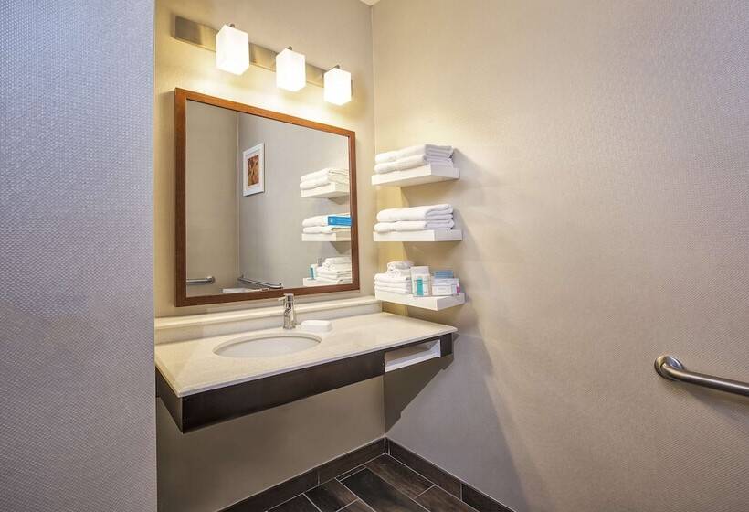 Hampton Inn Hotel Detroit/belleville Airport Area