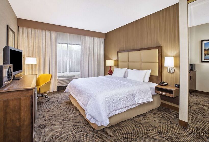 Hampton Inn Hotel Detroit/belleville Airport Area