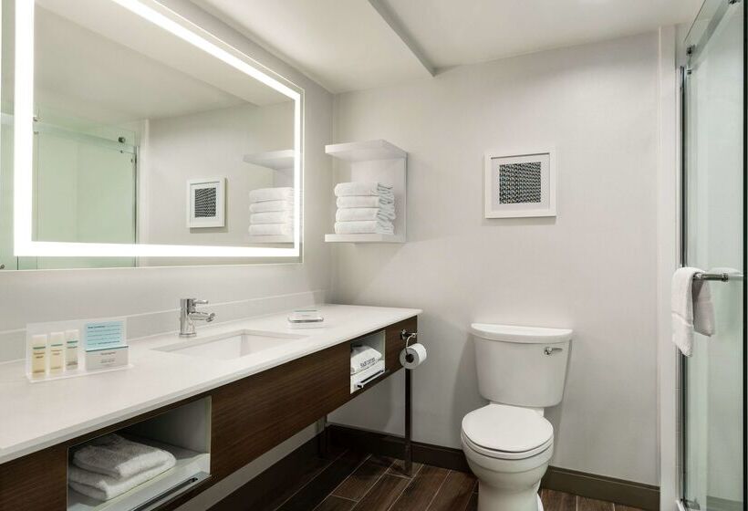 Отель Hampton Inn Dulles Cascades