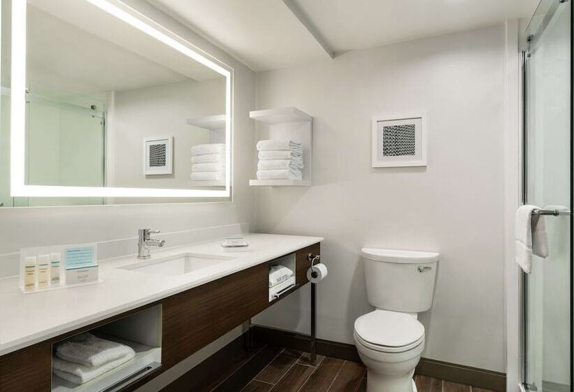 ホテル Hampton Inn Dulles Cascades