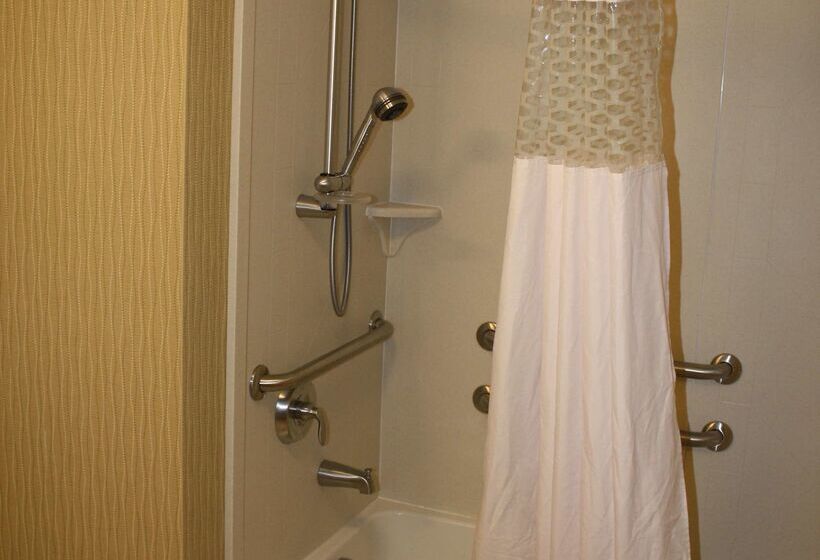 호텔 Hampton Inn East Lansing