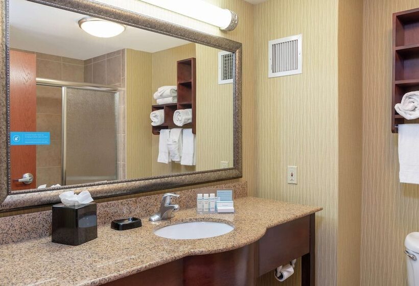 호텔 Hampton Inn East Lansing