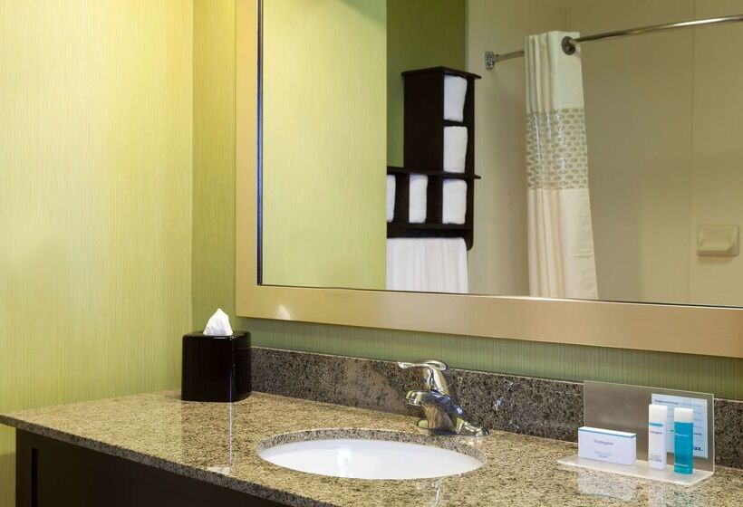 Отель Hampton Inn Elkton