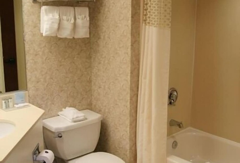 فندق Hampton Inn Flemington