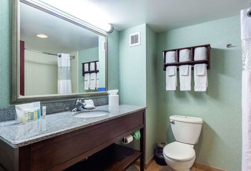 酒店 Hampton Inn Front Royal